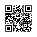 24304-425-300 CENTER