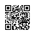 24305-374-000 PLATE
