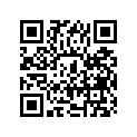 24310-46900 