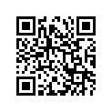 24341-11002 