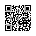 24341-11300 