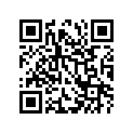 24351-11300 