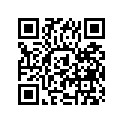 24361-41300 