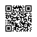 24410-743-010 LEVER,CHANGE