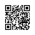 24510-958-000 ARM