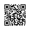 24581-07G00 Муфта