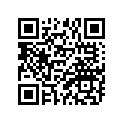 246-21110-00-33 