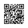 24605083000 silencer TE