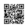 24711-205-020 Arm, change