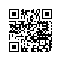 24741-11401 