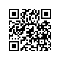 24741-41300 
