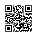 24745-11040 