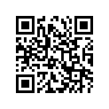 24751-33200-000 Holder