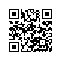 24871-11001 