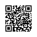 2498601K THROTTLEPLUGASSEMBLY