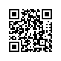 250011646 