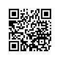 250011687 