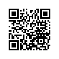 250011732 