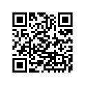 25005-0021 スピ-ドメ-タ，KPH
