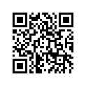 250051038 