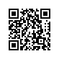 25008-1007 Кронштейн измерителя