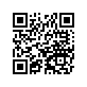 25008-1009 Кронштейн измерителя