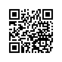 25008-1029 Кронштейн измерителя