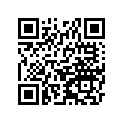 25008-1050 Кронштейн измерителя