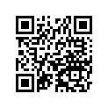 250081011 
