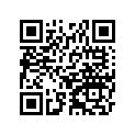 250081013 