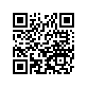 250081053 