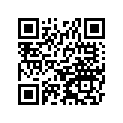 250081134 