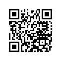 250081191 Bracket-meter         Cn