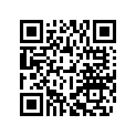 2501007000030A RIM 2,15X19 DID