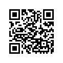 25031-0290 メ-タアツシ,KPH