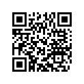 25108098007 Decal Set TX 300 2019