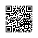2516-066 R/B 4506-247