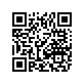 2516-224 R/B 4506-037