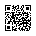 2521020 SUBSTITUTED BY 2521171