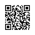25211-16500 