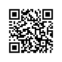 25510-33X00 