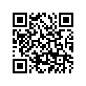 256-11395-00-00 HOLDER