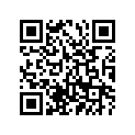 256-14942-45-00 Jet, Pilot