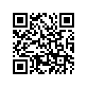 256-17131-00-00 