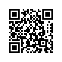 256-21513-10-93 