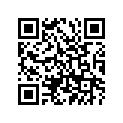 256-24944-24-00 Жиклер