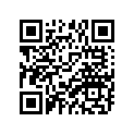 256-81612-11-00 