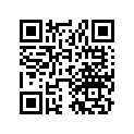 256-81613-10-00 