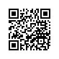 256-81650-11-00 