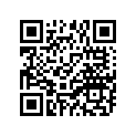 256-82508-31-00 